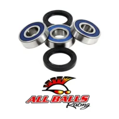 ALL BALLS RACING INC All Balls Wheel Bearing Kit - Rear 25-1155 #25-1155