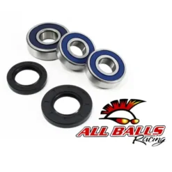 ALL BALLS RACING INC All Balls Wheel Bearing Kit - Rear 25-1257 #25-1257