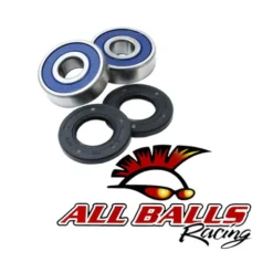 ALL BALLS RACING INC All Balls Wheel Bearing Kit - Rear 25-1387 #25-1387