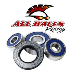 ALL BALLS RACING INC All Balls Wheel Bearing And Seal Kit - Rear 25-1551 #25-1551