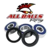 ALL BALLS RACING INC All Balls Wheel Bearing And Seal Kit - Rear 25-1587 #25-1587