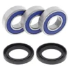ALL BALLS RACING INC All Balls 25-1594 Wheel Bearing And Seal Kit #25-1594