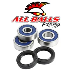 ALL BALLS RACING INC All Balls Wheel Bearing And Seal Kit - Rear 25-1600 #25-1600