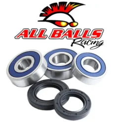 ALL BALLS RACING INC All Balls Wheel Bearing And Seal Kit - Rear 25-1605 #25-1605