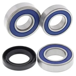 ALL BALLS RACING INC All Balls Wheel Bearing Kit - Rear 25-1720 #25-1720
