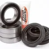 PIVOT WORK'S INC Pivot Work PWRWK-S19-032 Rear Wheel Bearing Kit #PWRWK-S19-032