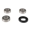 PIVOT WORK'S INC Pivot Work PWRWK-Y53-000 Rear Wheel Bearing Kit #PWRWK-Y53-000