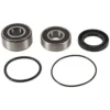 PIVOT WORK'S INC Pivot Work PWRWS-H19-000 Rear Wheel Bearing Kit #PWRWS-H19-000