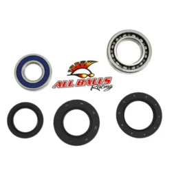 ALL BALLS RACING INC All Balls 25-1017 Rear Wheel Bearing Kit - Both Wheels #25-1017