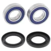 ALL BALLS RACING INC All Balls 25-1732 Racing Wheel Bearing Kit Odes UTV #25-1732