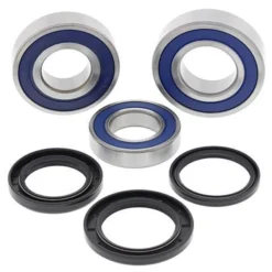 ALL BALLS RACING INC All Balls Wheel Bearing Kit - Rear 25-1727 #25-1727