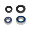 Bronco Products AT-06636 Bronco-Wheel-Bearing-Kit 400 DVX #AT-06636