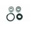 PSYCHIC PRODUCTS Psychic MX-06241 Front Wheel Bearing Kit #MX-06241
