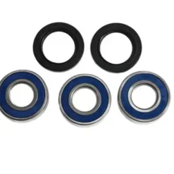 ALL BALLS RACING INC All Balls 25-1277 Rear Wheel Bearing Kit - Both Wheels #25-1277