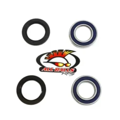 ALL BALLS RACING INC All Balls 25-1313 Rear Wheel Bearing Kit - Both Wheels #25-1313